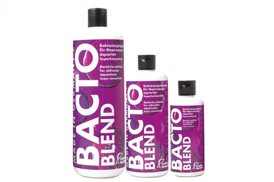 Bacto Blend