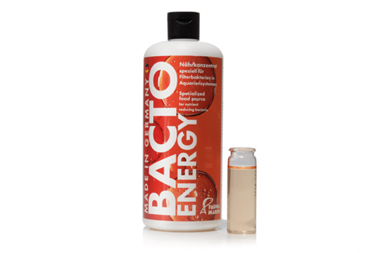 Bacto Energy