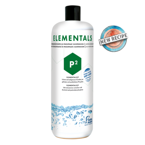 Elementals_P_2_RGB_1200x1200px_NEU_frei_3295_1920x1920