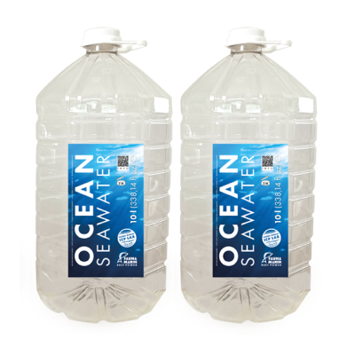 Ocean Seawater