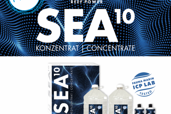 SEA 10